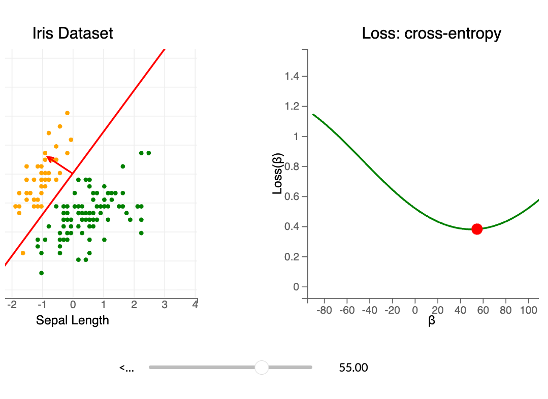 Iris loss functions