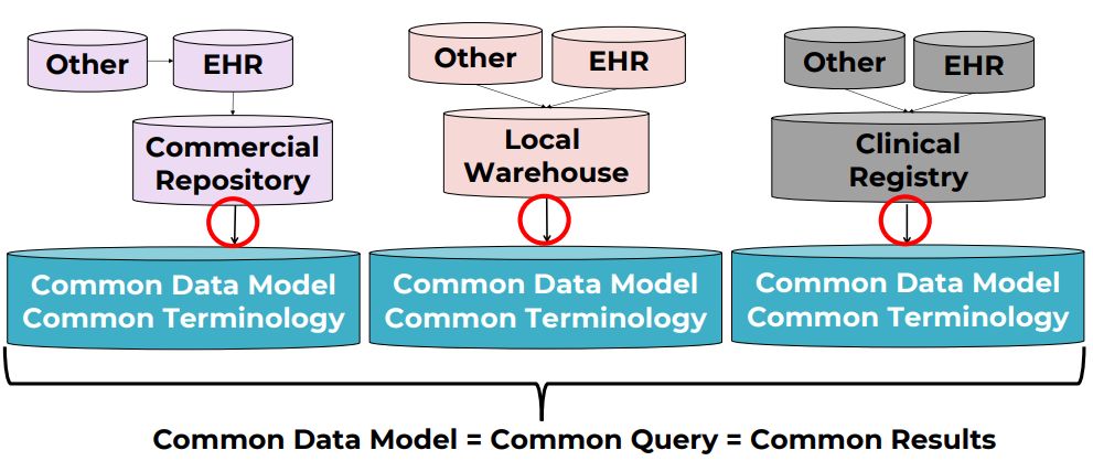 CDM details