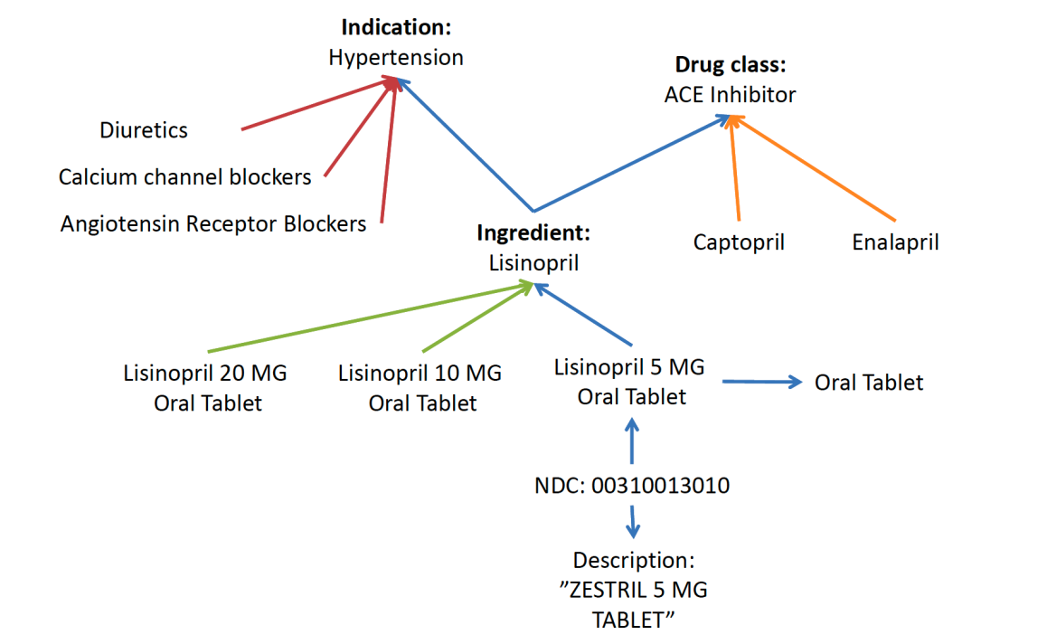 Medical terminologies hierarchy