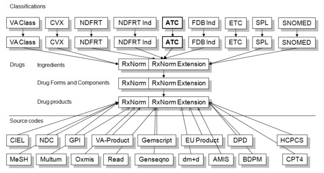 RxNorm and related terminologies
